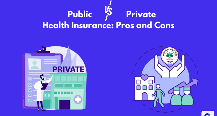 Private Health Insurance: Private Health Insurance Vs Public