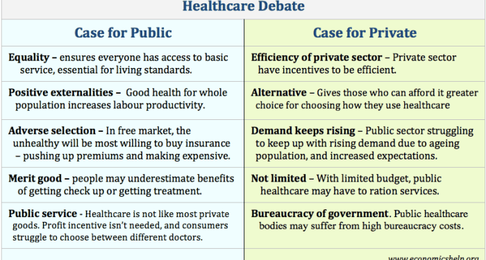 Healthcare - Private vs public sector - Economics Help